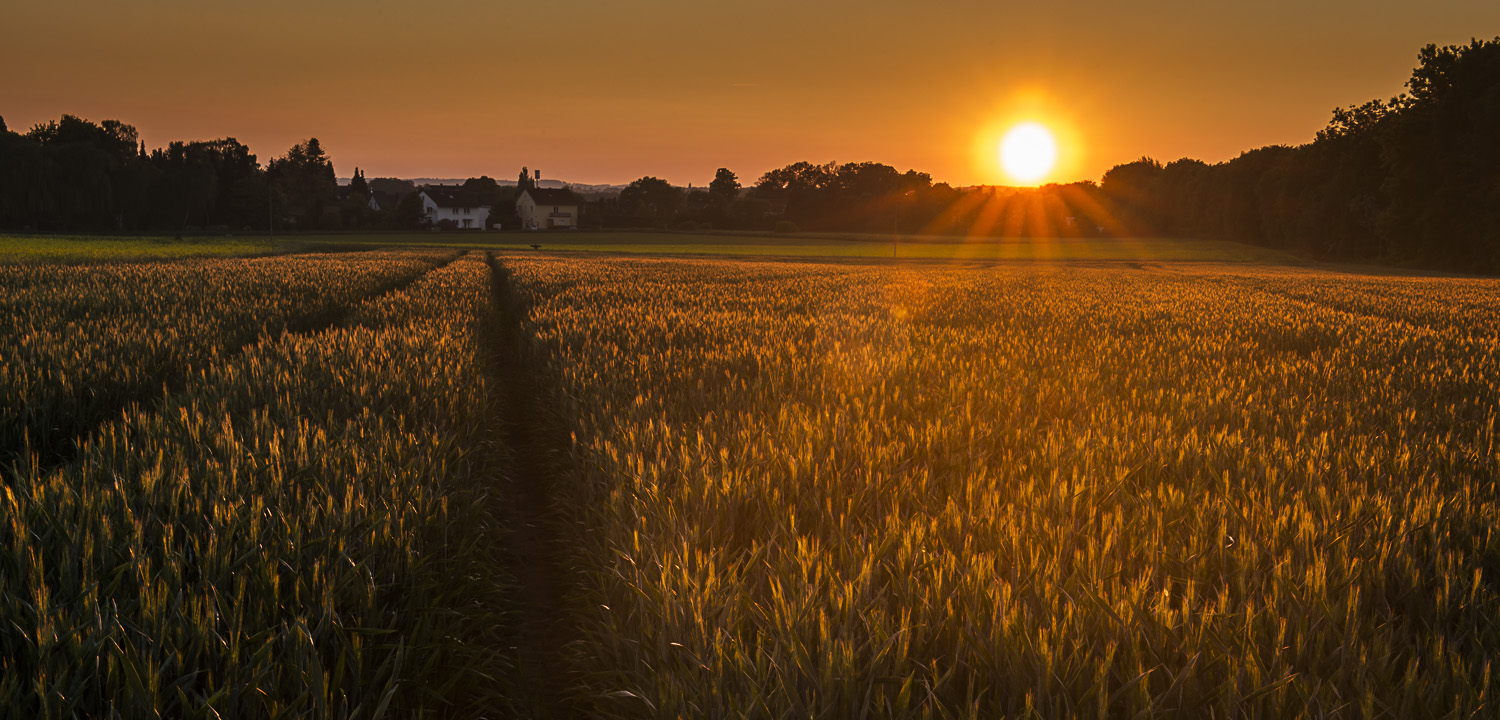 MRN-2013-026-0033-Edit