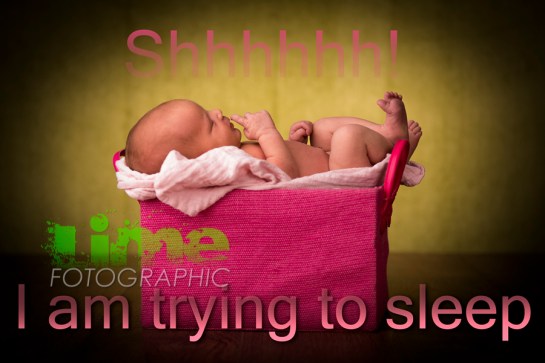 MRN-2013-042-026-Edit