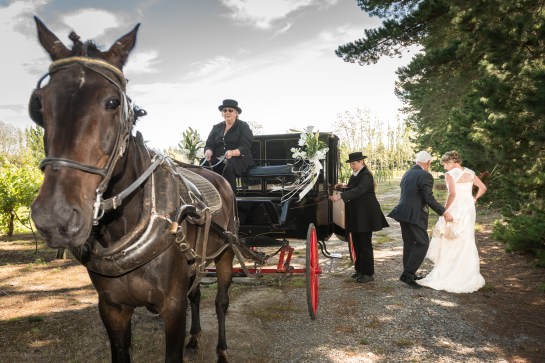 limefoto-2016-025-466