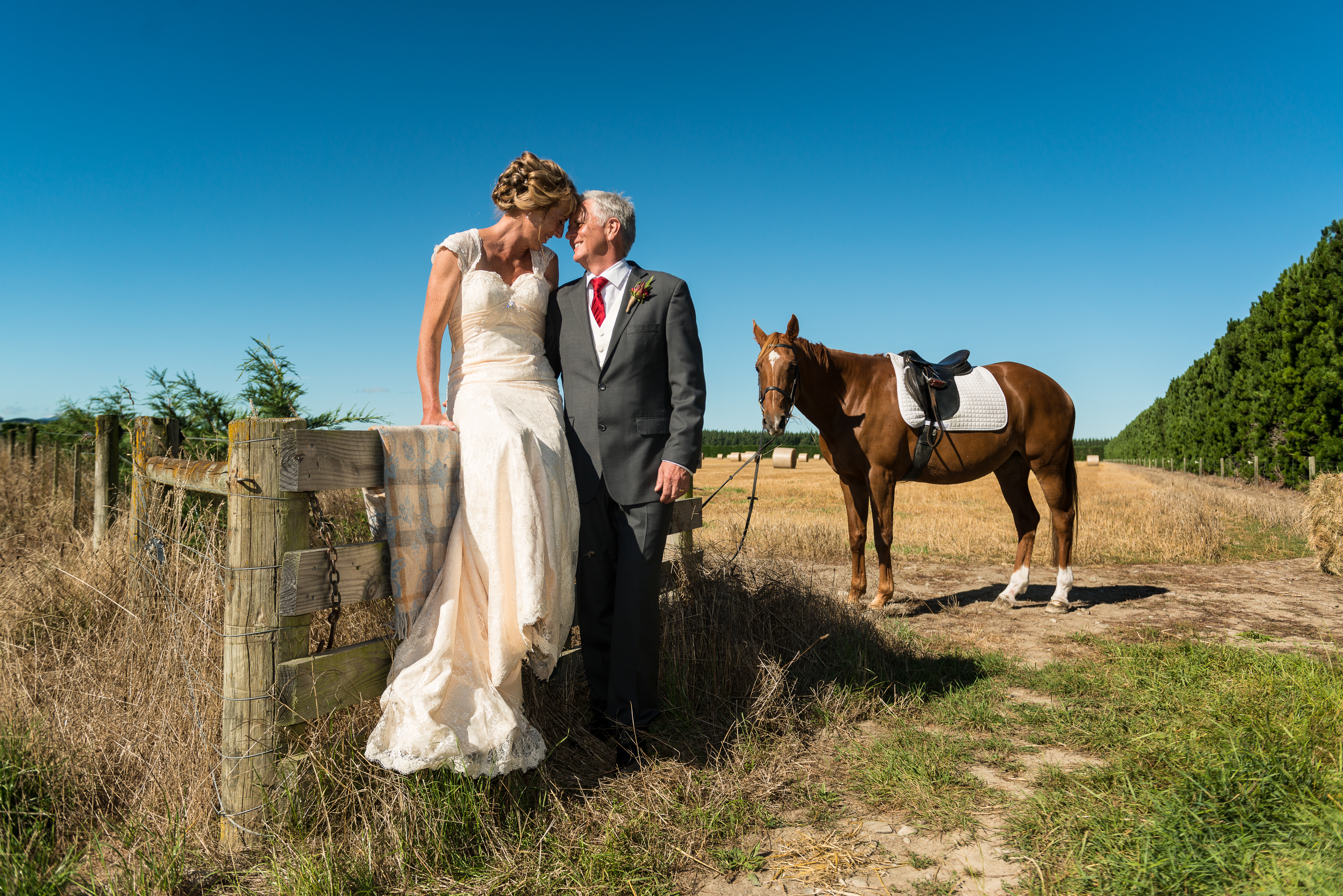 limefoto-2016-025-739