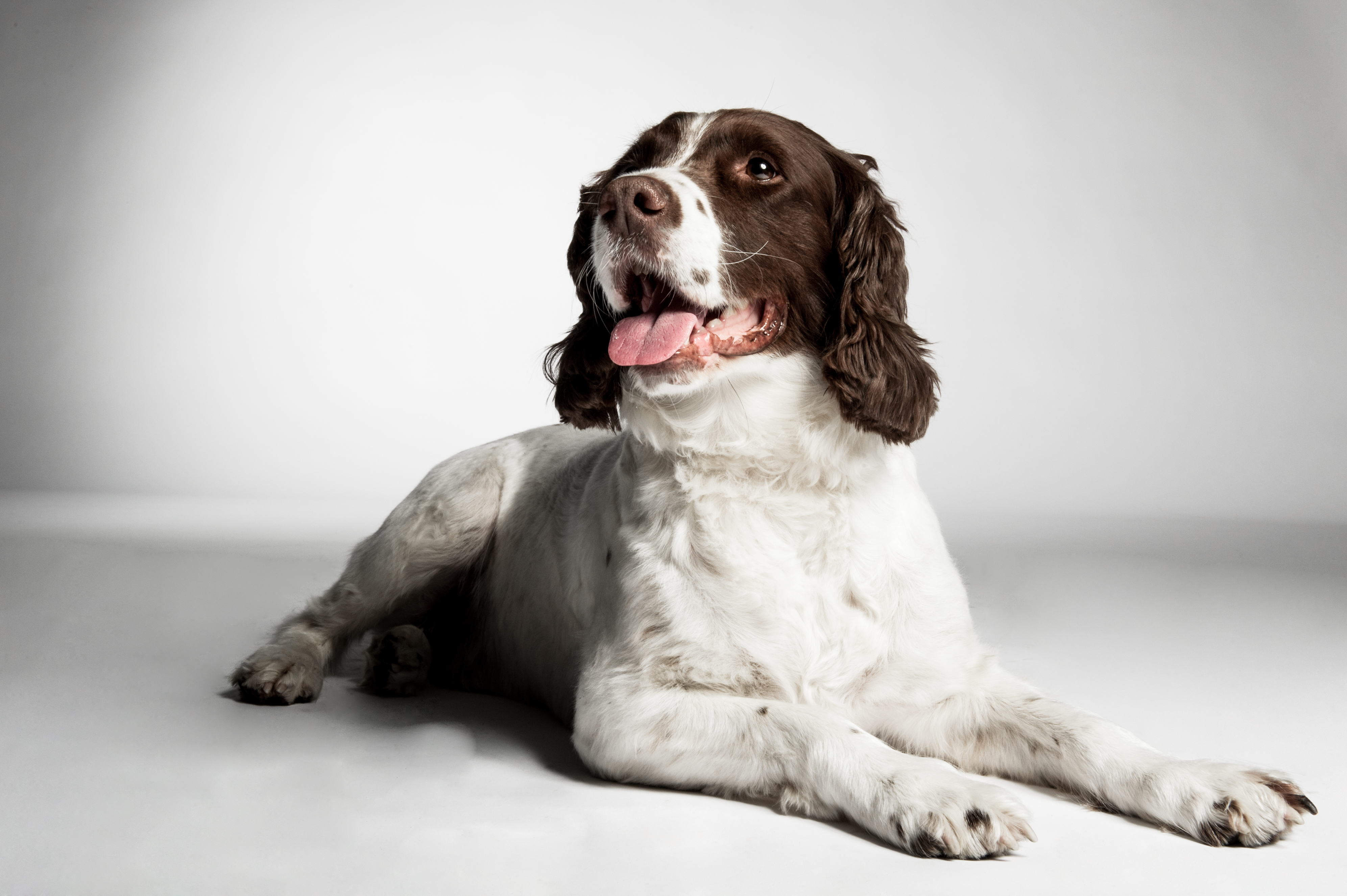 mrn-2012-015-0222-edit-copy