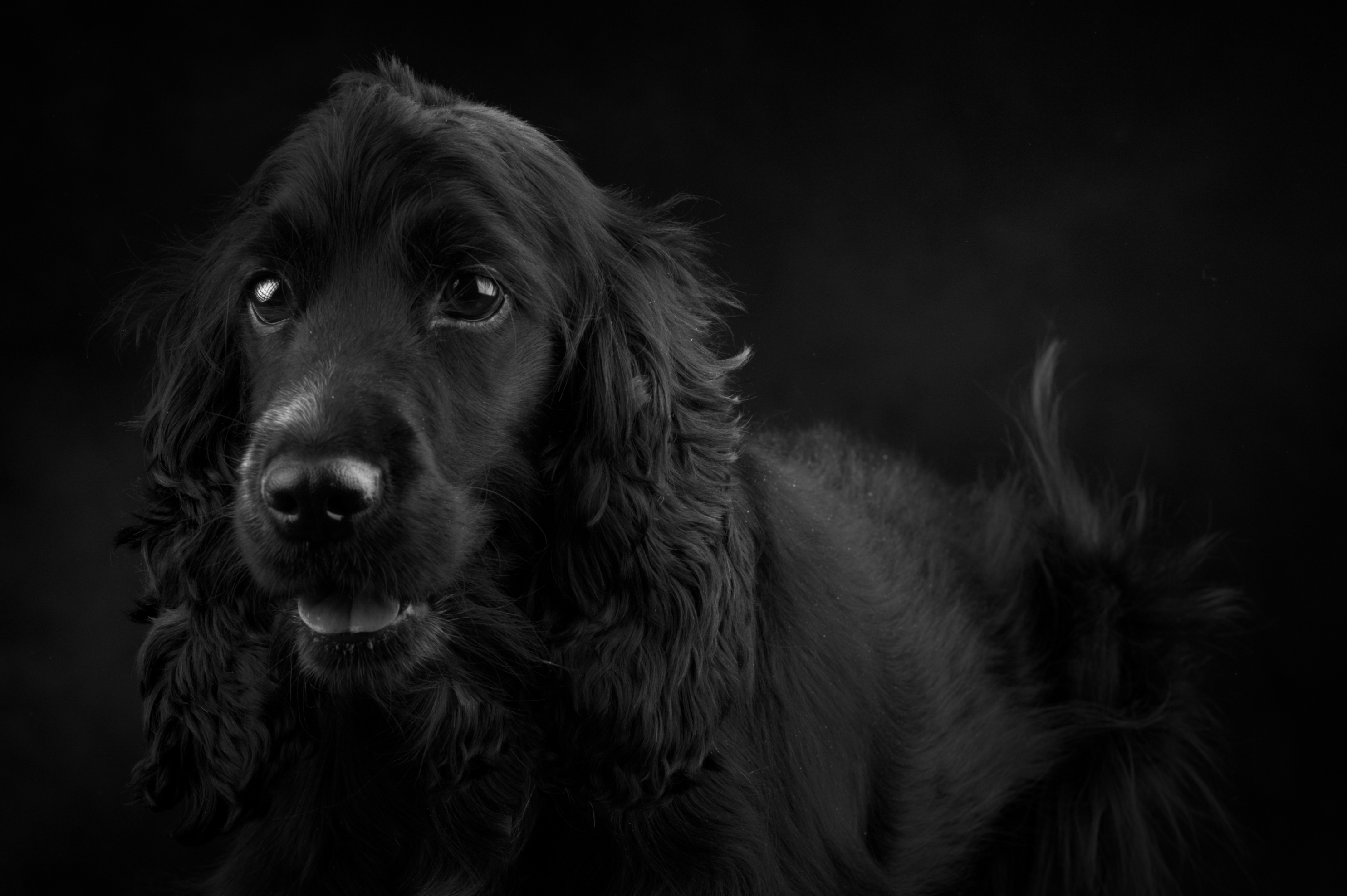 mrn-2012-015-0459-copy