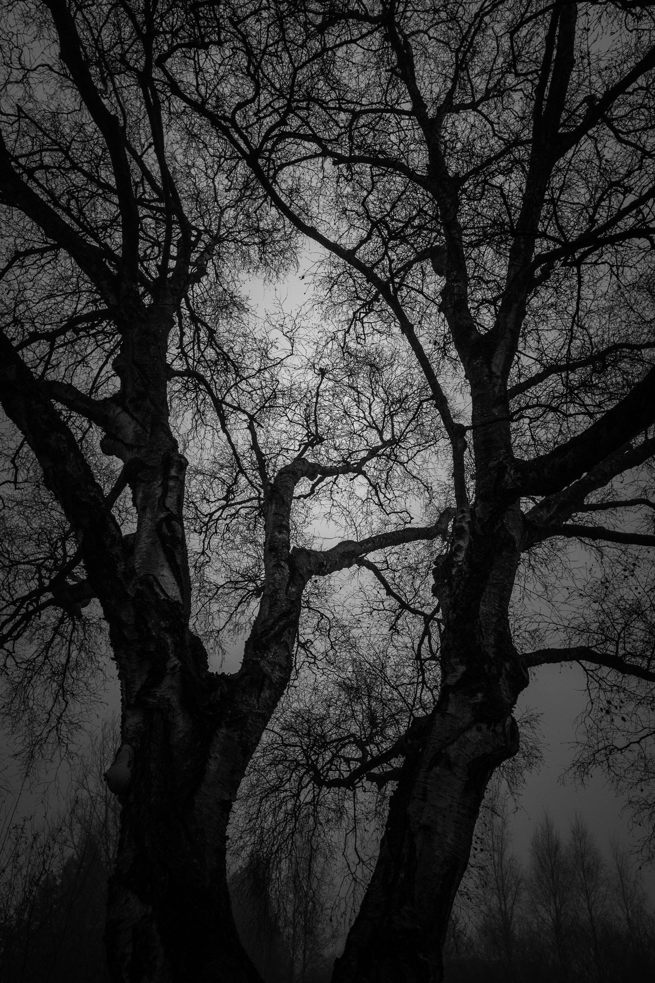 Army Headquarters in the morning fog