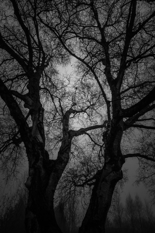 Army Headquarters in the morning fog